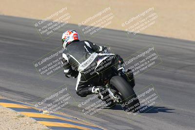 media/Nov-12-2023-SoCal Trackdays (Sun) [[5d1fba4e7d]]/Turn 10 Backside (115pm)/